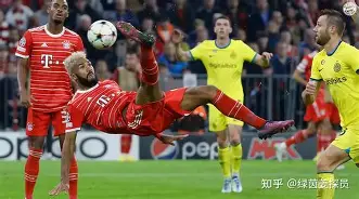 关于卢高与梅尔加取得胜利，赢得保级关键战役的信息