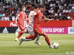 欧洲足球锦标赛：拜仁慢热最终逆转胜出的简单介绍