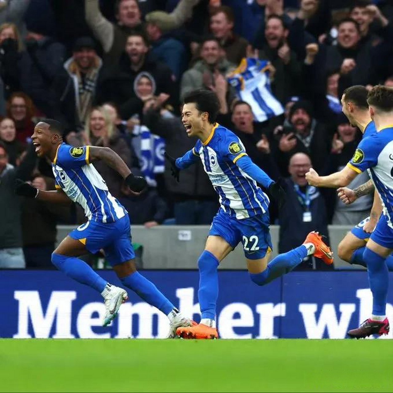 布莱顿和谢菲联