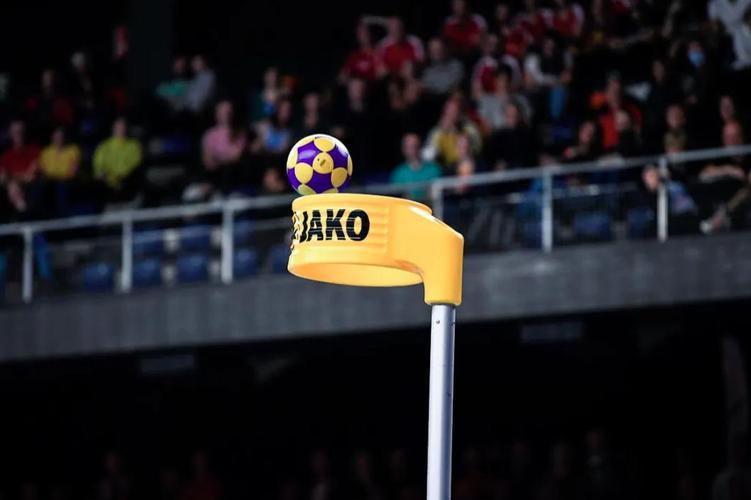 关于大名单公布，国家队备战世界杯迎挑战的信息