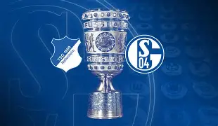 关于法兰克福胜算高，客场挑战霍芬海姆的信息