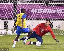 法国队球员发挥亮眼，法国国家队晋级下一轮比赛(法国国家队最新阵容)