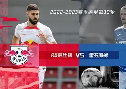包含霍芬海姆新援首秀献绝杀,助球队取胜的词条 包含霍芬海姆新援首秀献绝杀,助球队取胜的词条