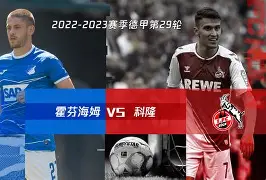 C7娱乐官方网站-霍芬海姆发挥稳定，保持不败纪录的简单介绍